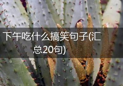 下午吃什么搞笑句子(汇总20句)