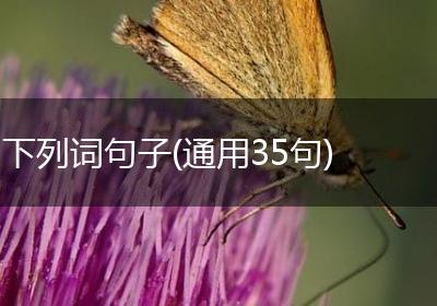 下列词句子(通用35句)