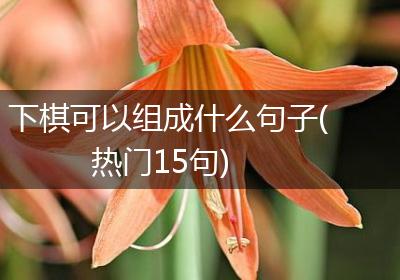 下棋可以组成什么句子(热门15句)