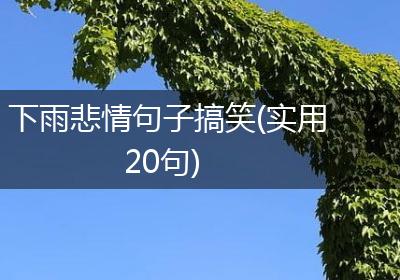 下雨悲情句子搞笑(实用20句)