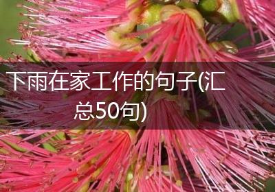 下雨在家工作的句子(汇总50句)
