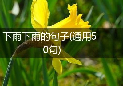 下雨下雨的句子(通用50句)