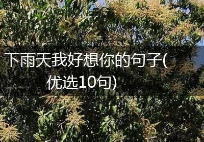 下雨天我好想你的句子(优选10句)