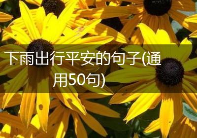 下雨出行平安的句子(通用50句)