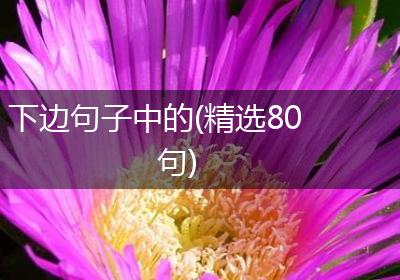 下边句子中的(精选80句)