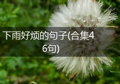 下雨好烦的句子(合集46句)