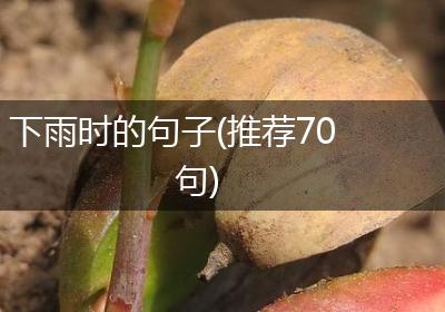 下雨时的句子(推荐70句)