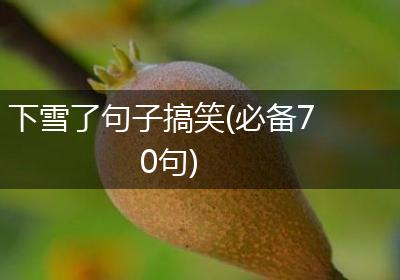 下雪了句子搞笑(必备70句)