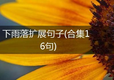 下雨落扩展句子(合集16句)