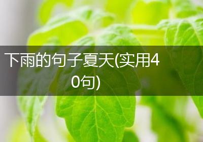 下雨的句子夏天(实用40句)