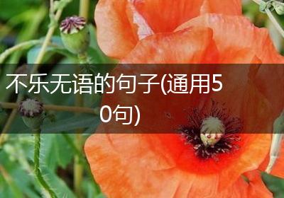 不乐无语的句子(通用50句)
