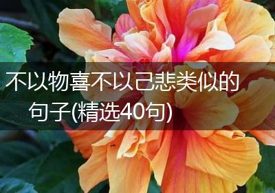 不以物喜不以己悲类似的句子(精选40句)