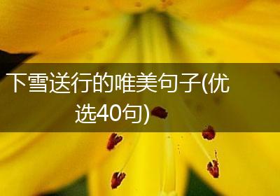 下雪送行的唯美句子(优选40句)