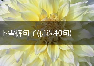 下雪裤句子(优选40句)