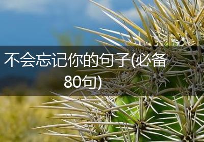 不会忘记你的句子(必备80句)