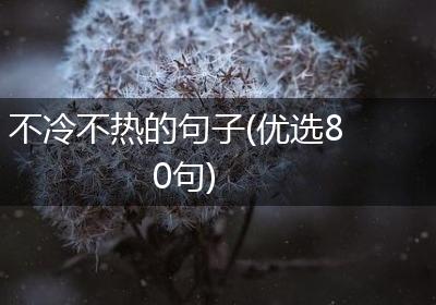 不冷不热的句子(优选80句)