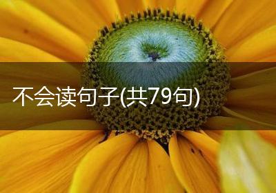 不会读句子(共79句)