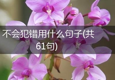 不会犯错用什么句子(共61句)