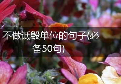 不做诋毁单位的句子(必备50句)