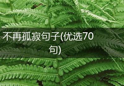 不再孤寂句子(优选70句)