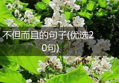 不但而且的句子(优选20句)