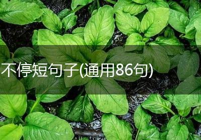 不停短句子(通用86句)