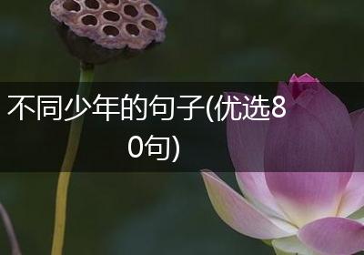 不同少年的句子(优选80句)
