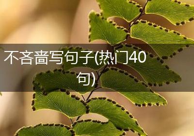 不吝啬写句子(热门40句)