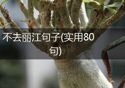 不去丽江句子(实用80句)
