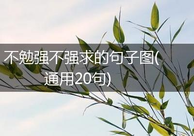 不勉强不强求的句子图(通用20句)