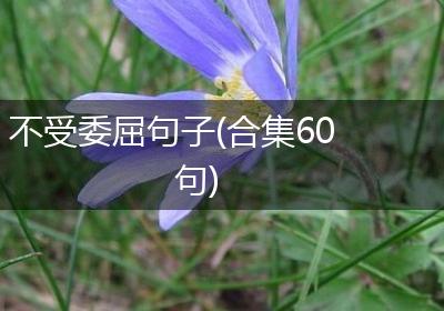 不受委屈句子(合集60句)