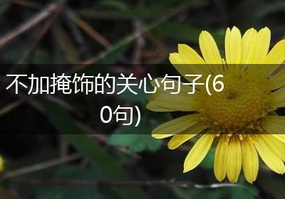 不加掩饰的关心句子(60句)