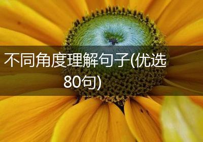 不同角度理解句子(优选80句)