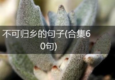 不可归乡的句子(合集60句)