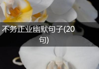 不务正业幽默句子(20句)