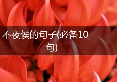 不夜侯的句子(必备10句)
