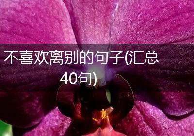 不喜欢离别的句子(汇总40句)