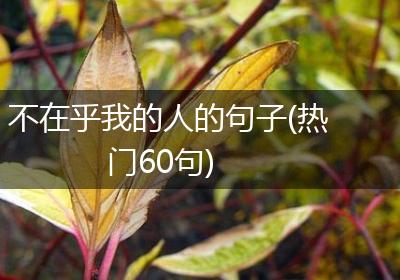 不在乎我的人的句子(热门60句)
