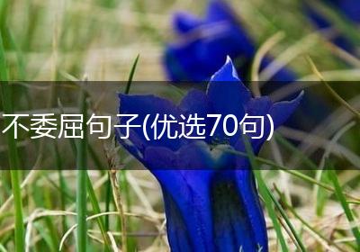 不委屈句子(优选70句)