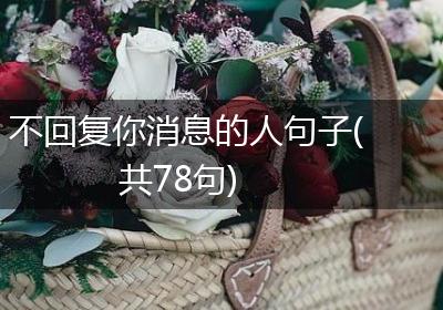 不回复你消息的人句子(共78句)