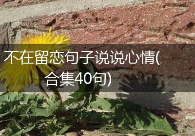 不在留恋句子说说心情(合集40句)