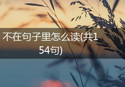 不在句子里怎么读(共154句)