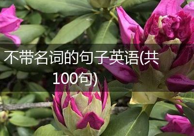 不带名词的句子英语(共100句)