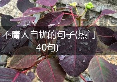 不庸人自扰的句子(热门40句)