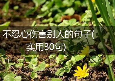 不忍心伤害别人的句子(实用30句)