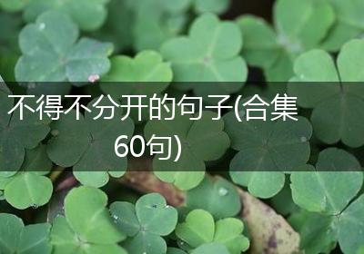 不得不分开的句子(合集60句)