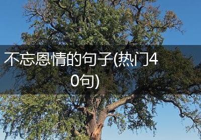 不忘恩情的句子(热门40句)
