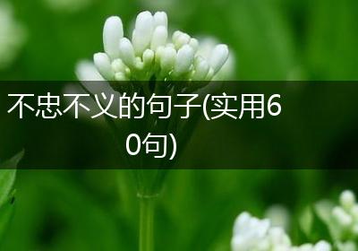 不忠不义的句子(实用60句)