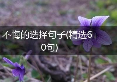 不悔的选择句子(精选60句)