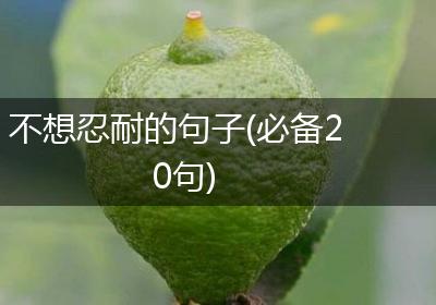 不想忍耐的句子(必备20句)
